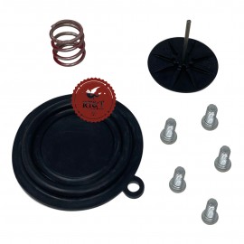 Kit revisione per Gruppo acqua Vaillant 010359