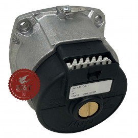 Pompa circolatore caldaia Ecoflam Ecoblu, Ecosi 65104319-01