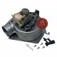 Ventilatore caldaia Ferroli Domicompact, Domina, Domitop, Domina Igloo, Domina Insert, Ferella Free, Ferella Box 39811561