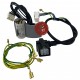 Cablaggio pompa Wilo caldaia Ecoflam Ecosi, Ecoblu 65104520