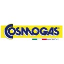 Cosmogas