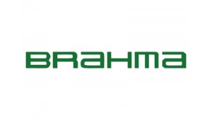 Ricambi caldaie Brahma